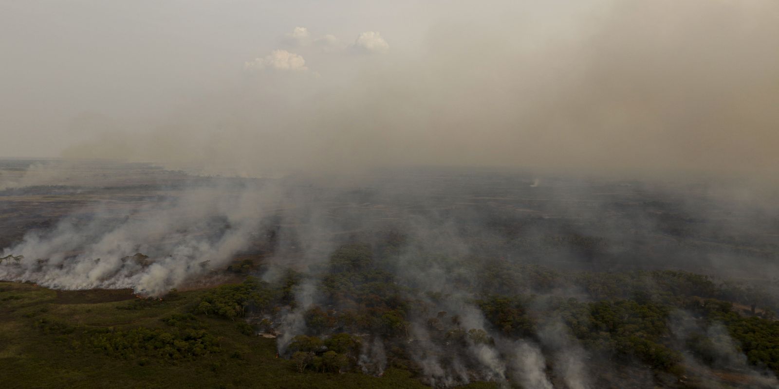 PL que muda Código Florestal vai desproteger 48 milhões de hectares