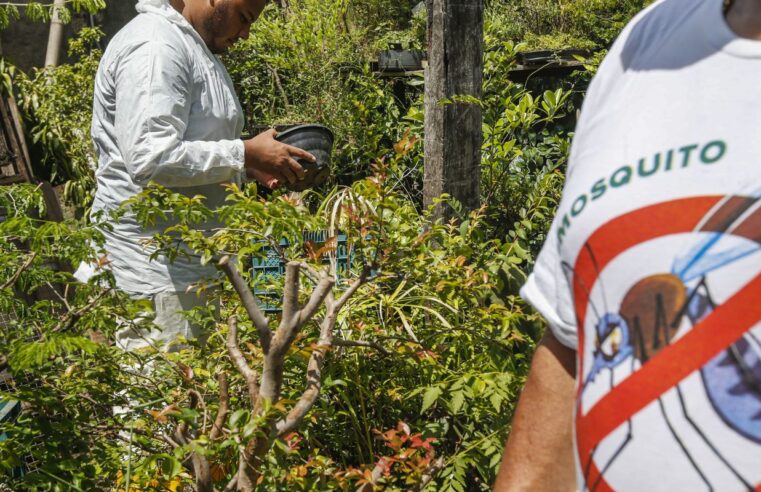 Paraná decreta situação de emergência em saúde por dengue