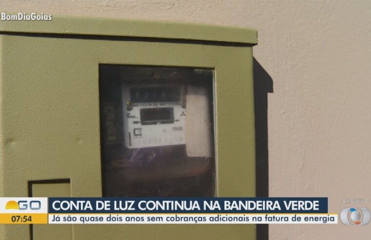 Subsídios serão 12,5% da conta de energia que a população pagará em 2024; saiba como funcionam | Economia