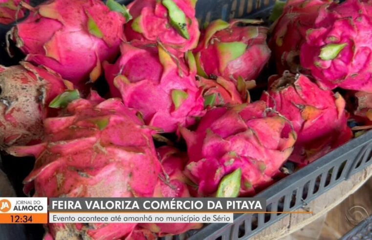 Você sabia? primeiro refrigerante de pitaya do país é produzido no RS