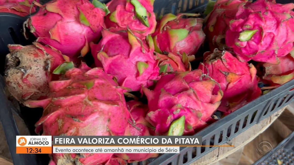 Você sabia? primeiro refrigerante de pitaya do país é produzido no RS