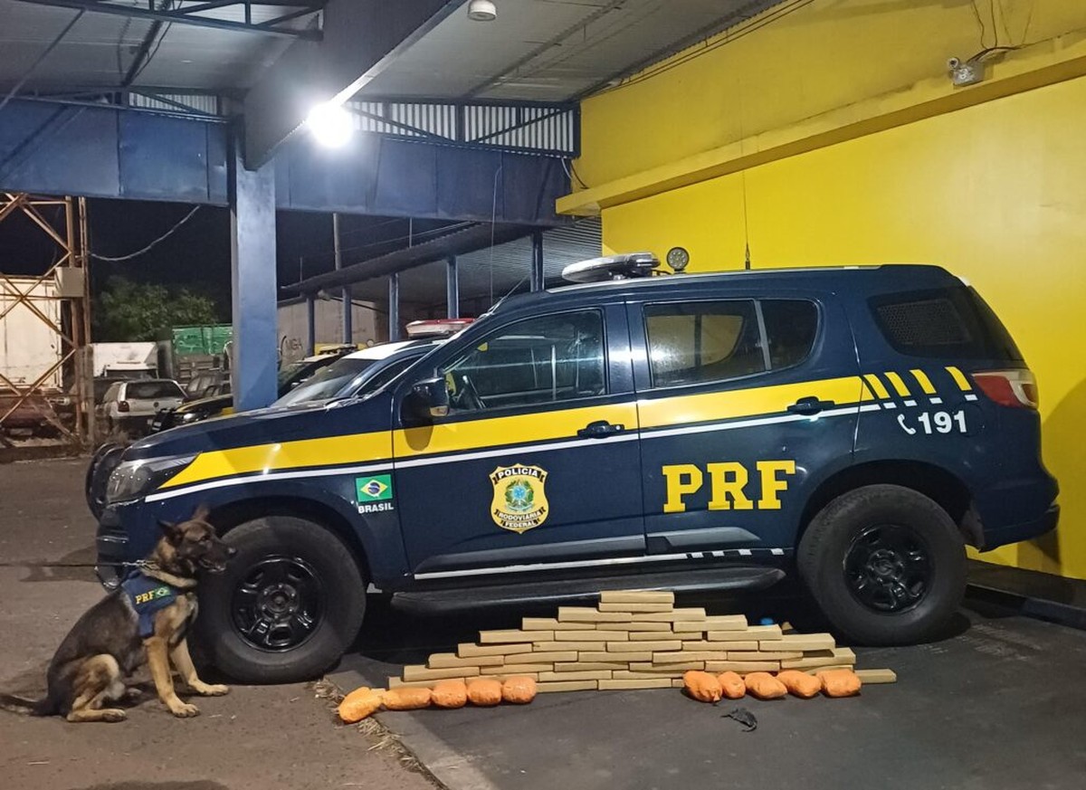 Passageiro de ônibus é preso com drogas na bagagem em Ourinhos