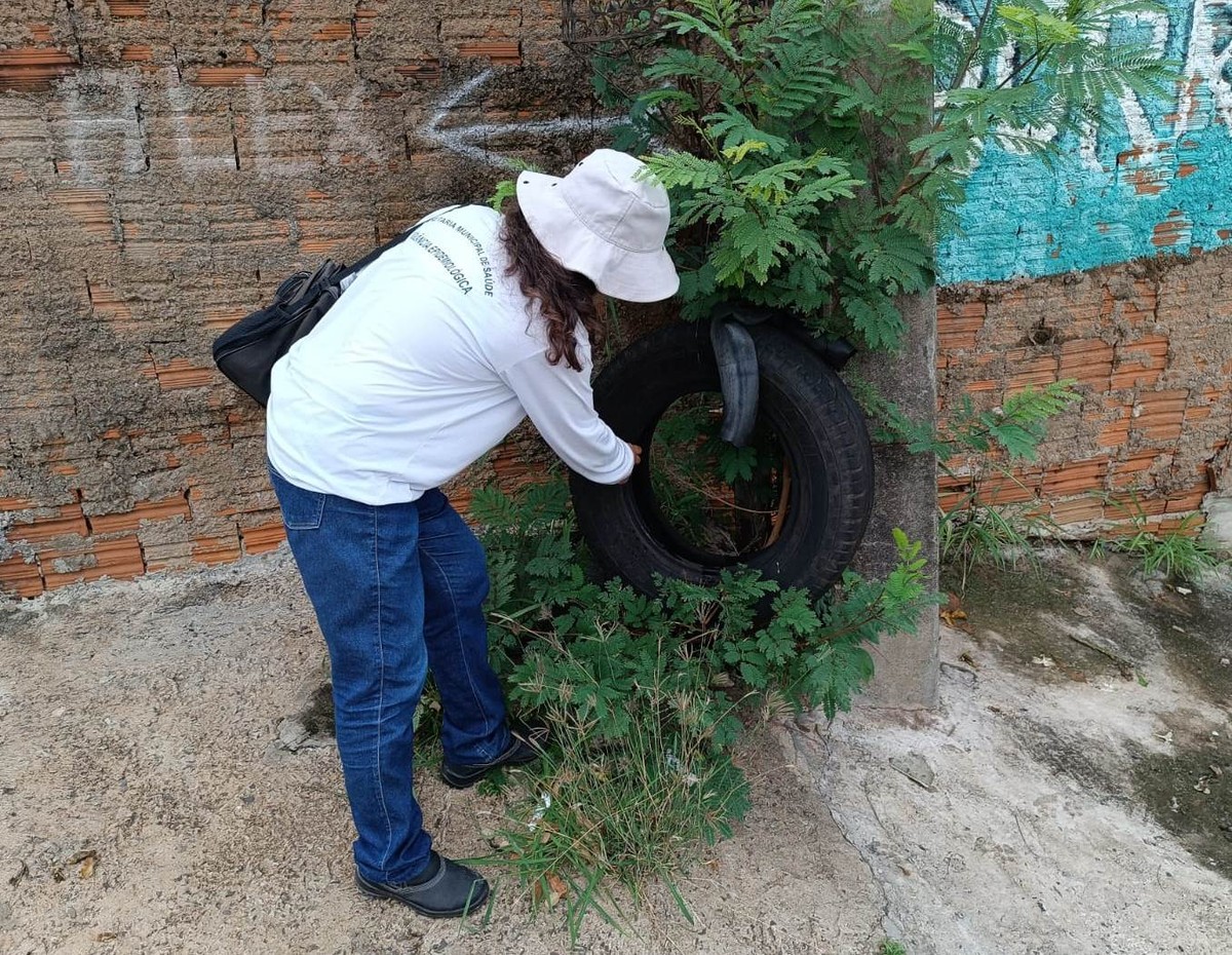 Vigilância Epidemiológica inicia segundo Índice Breteau de 2024 para analisar situação da dengue em Presidente Prudente