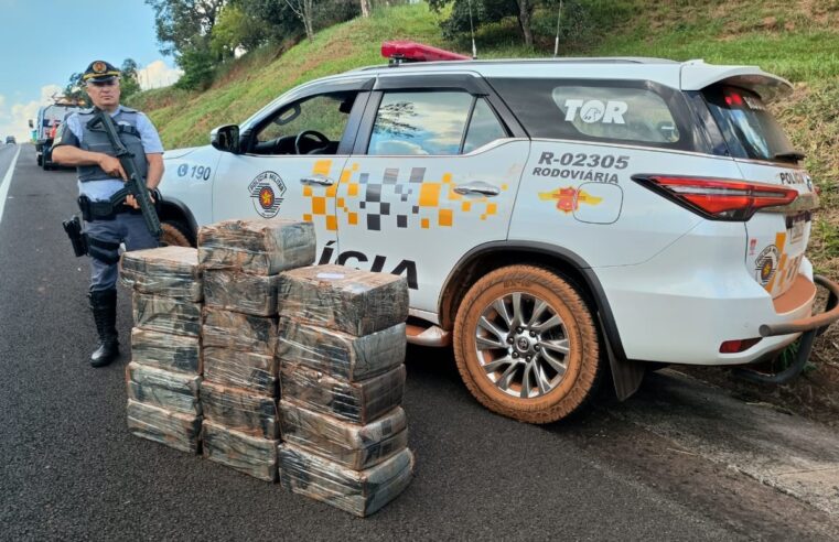 Polícia encontra 240 quilos de maconha após motorista fugir de abordagem no interior de SP