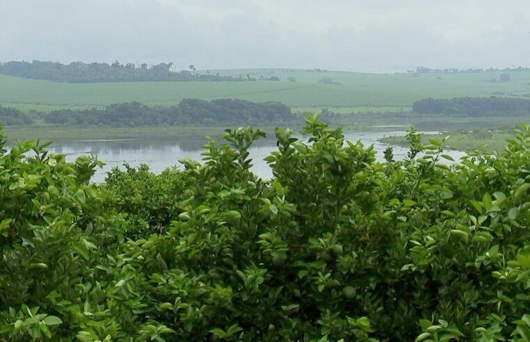 Mudanças no clima causam prejuízo e atrapalham planejamento no agro