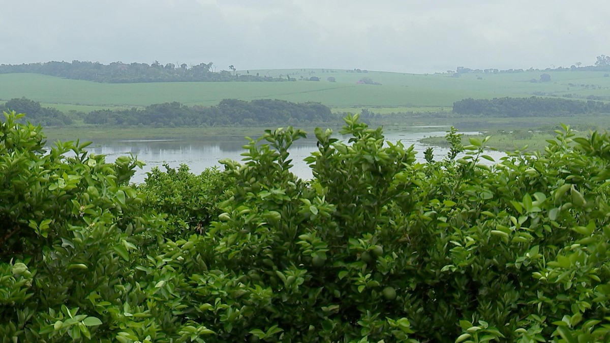 Mudanças no clima causam prejuízo e atrapalham planejamento no agro