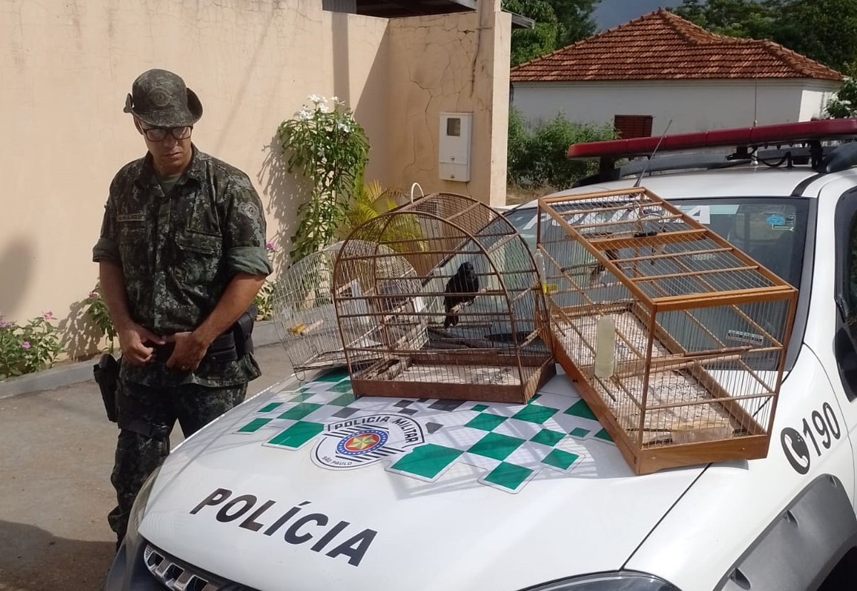 Morador é multado em R$ 6,9 mil por manter 17 aves silvestres, exóticas e híbridas em cativeiro, em Adamantina