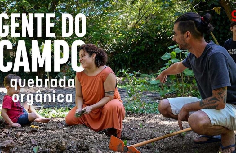 Quebrada Orgânica: projeto na periferia de São Paulo muda relação da comunidade com a alimentação