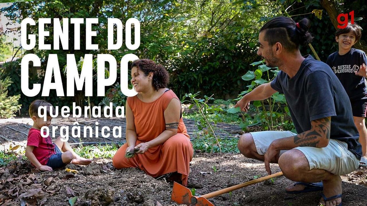 Quebrada Orgânica: projeto na periferia de São Paulo muda relação da comunidade com a alimentação