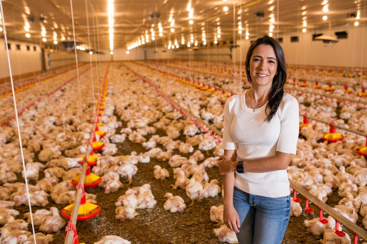 Impulsionadas pelo agro, cooperativas de crédito ganham espaço e prometem ampliar recursos a produtores