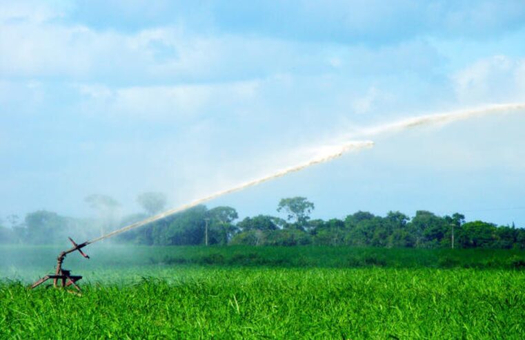 Gestão remota e precisão: como novas tecnologias contribuem para manejo hídrico no campo