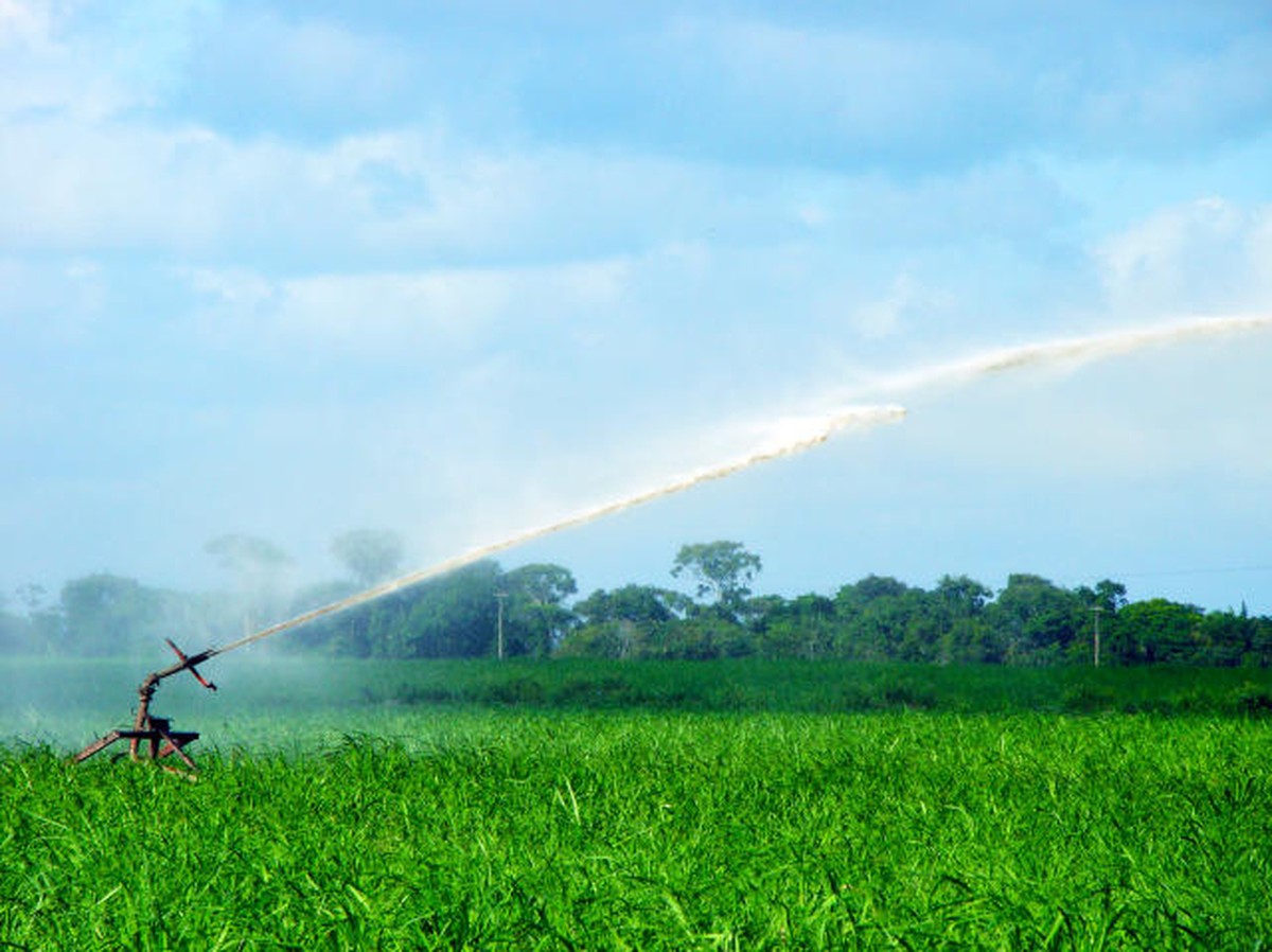 Gestão remota e precisão: como novas tecnologias contribuem para manejo hídrico no campo