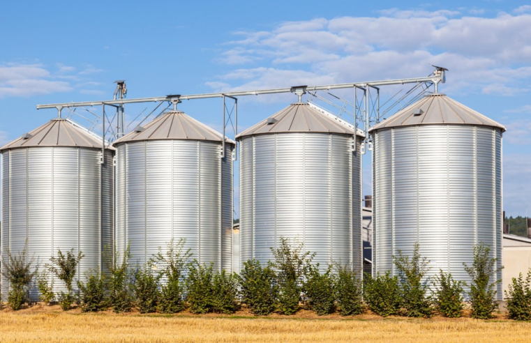 Armazenagem de grãos: entenda os desafios para conter déficit no país diante de produção crescente | Agrishow