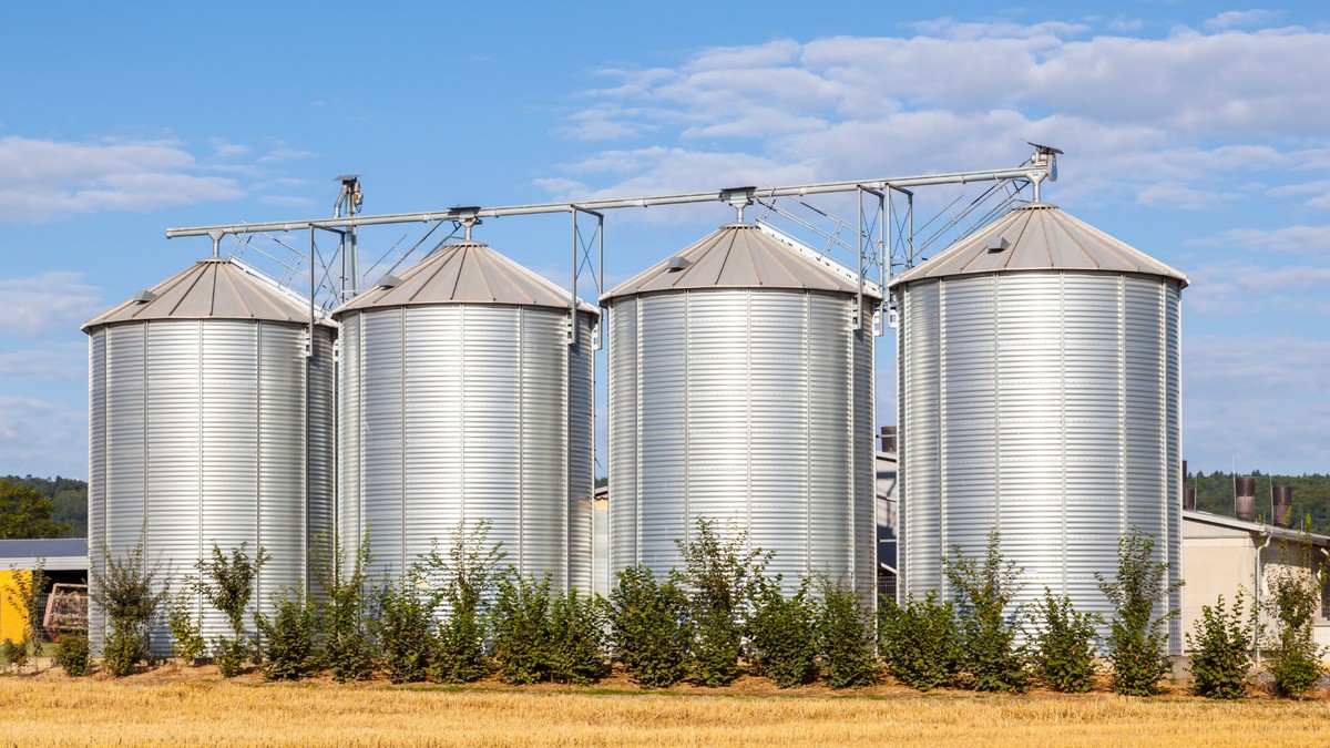 Armazenagem de grãos: entenda os desafios para conter déficit no país diante de produção crescente | Agrishow