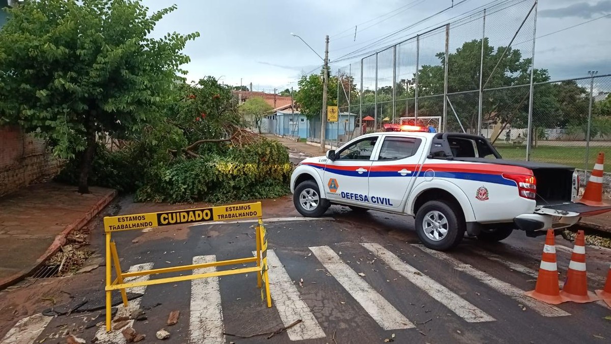 Com fortes rajadas de vento, temporal causa estragos e derruba árvores em Junqueirópolis | Presidente Prudente e Região