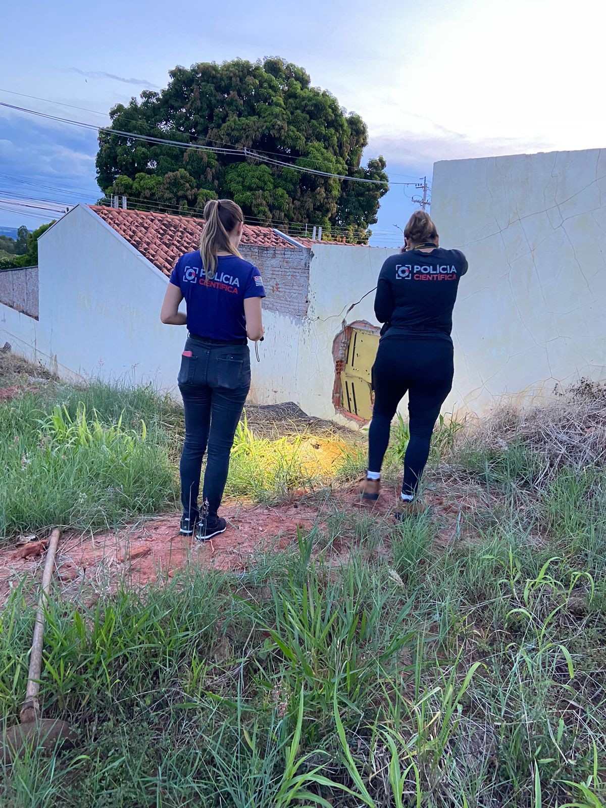 Homem é suspeito de matar cachorro enforcado em Marília; corpo foi encontrado em terreno