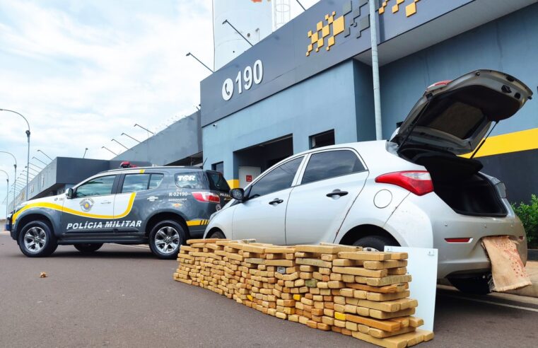 Polícias Rodoviária e Federal apreendem mais de 300 kg de maconha em rodovia de Bauru | Bauru e Marília