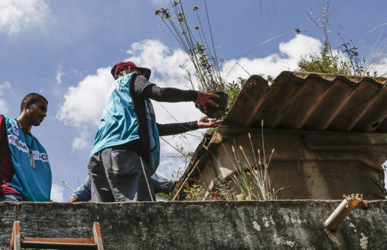 Sete estados e o DF têm tendência de queda nos casos de dengue