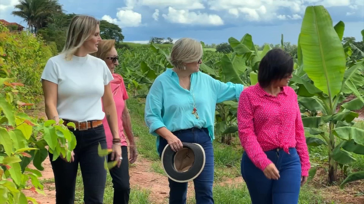 Sucessão no agro exige planejamento e interesse das gerações mais novas | Nosso Campo