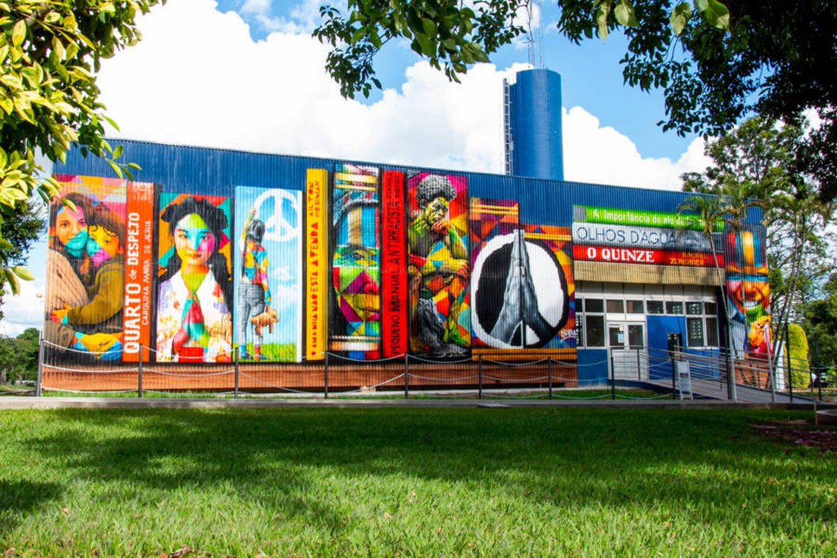 Valor de mural do artista Kobra em campus da Unesp no interior de SP gera questionamento de estudantes; obra custou R$ 300 mil | Bauru e Marília