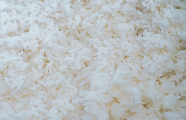 Indústria negocia compra de arroz da Tailândia para compensar perdas previstas no RS