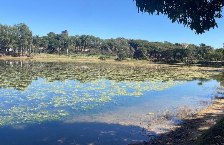 Algas tomam conta o lago J.K Willians em Garça e preocupam moradores | Bauru e Marília