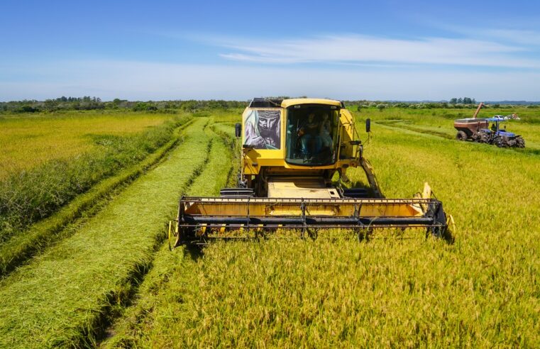 Tragédia no Rio Grande do Sul afeta produções de arroz e soja; entenda a importância do estado no agro | Agronegócios